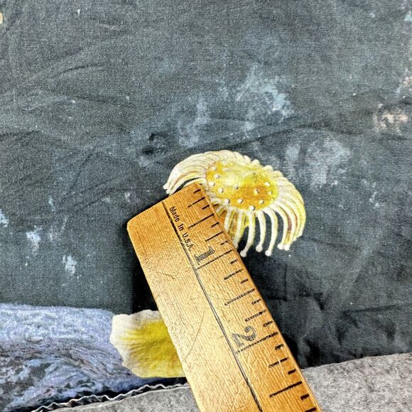 Ripndip Scuba Nerm Shirt Mens L Gray Cat Ocean Beach Surf Skater Street Button* - Picture 4 of 12